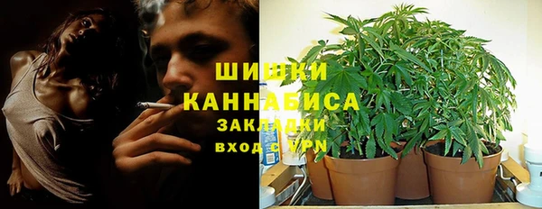 спайс Абаза