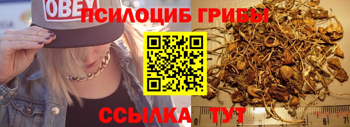 Псилоцибиновые грибы мухоморы Кисловодск