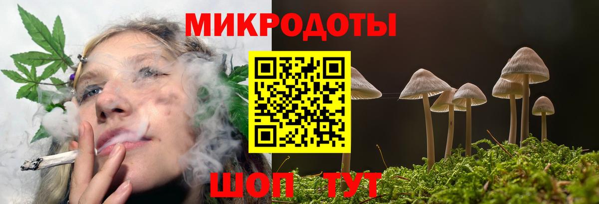 Кисловодск  Галлюциногенные грибы Cubensis  Галлюциногенные грибы GOLDEN TEACHER  Вход с VPN 